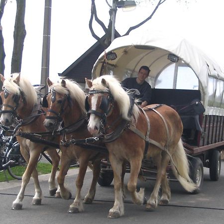 B&B Sogni D'Oro Lovendegem Zewnętrze zdjęcie